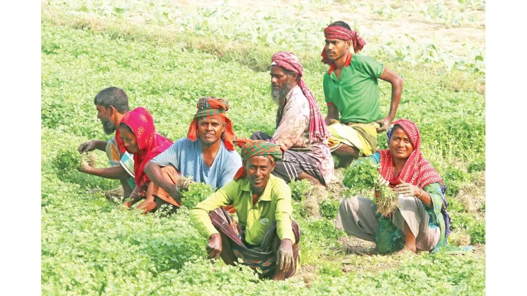 ব্যবস্থাপনাগত একত্রীকরণে’র মধ্যেই ভবিষ্যৎ কৃষির সাফল্য নিহিত