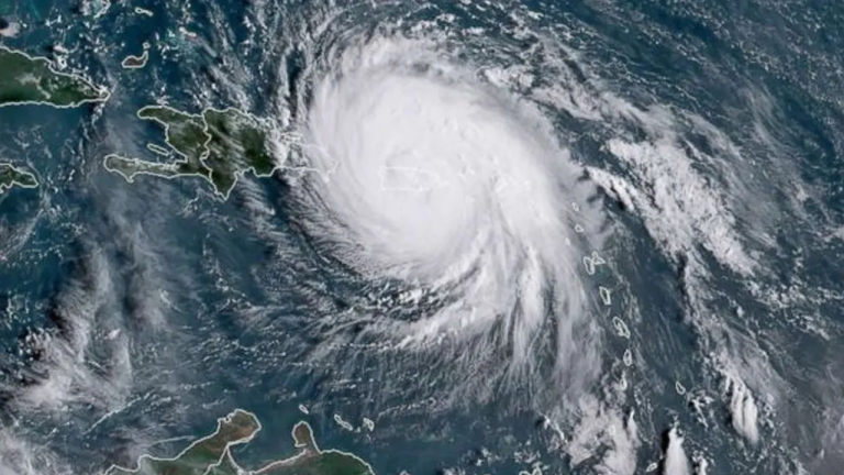 ঘূর্ণিঝড় : ১১ নম্বর বিশেষ বিজ্ঞপ্তিতে যা জানা গেল