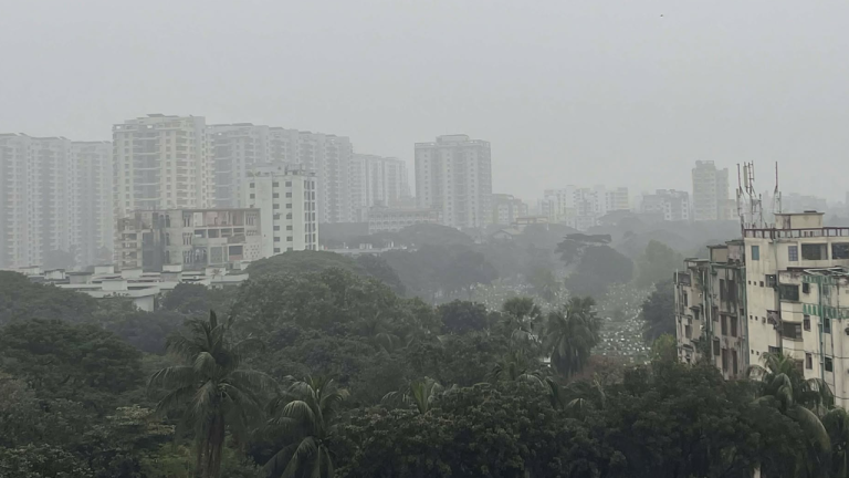 এমন কুয়াশা পরিস্থিতি কতদিন থাকতে পারে জানাল আবহাওয়া অফিস