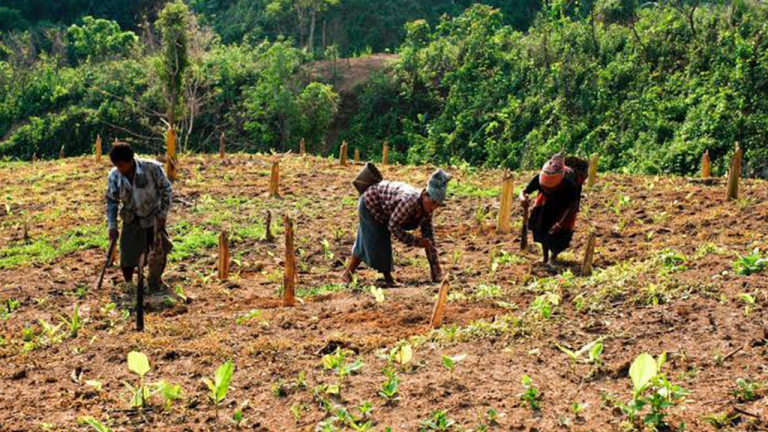 ও ভেই যেই বেক্কুনে মিলি জুম কাবা যেই’